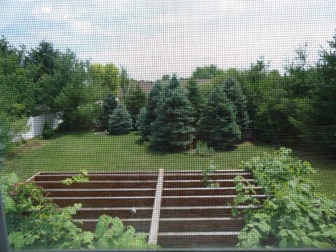 906 34th St, Peru, IL 61354 photo 29