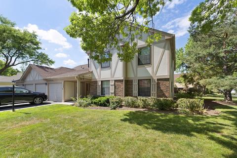 1152 Buckingham Ct #D1, Wheeling, IL 60090 photo 1