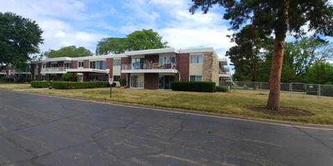 200 Deborah Ln #9B, Wheeling, IL 60090 photo 3