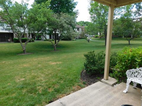 1157 Buckingham Ct #B1, Wheeling, IL 60090 photo 13