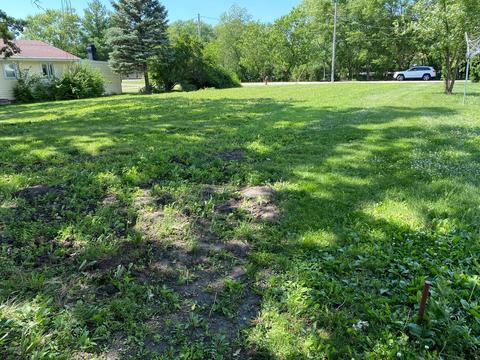 115 W Maple St, Roberts, IL 60962 photo 5