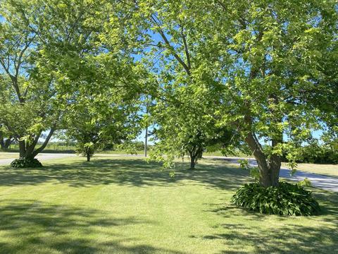 1347 W Corning Rd, Beecher, IL 60401 photo 21