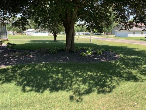 31 Lynn St, Weldon, IL 61882 photo 5