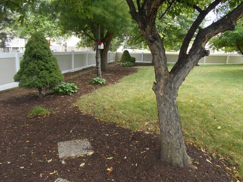 312 Chippewa Dr, Minooka, IL 60447 photo 6