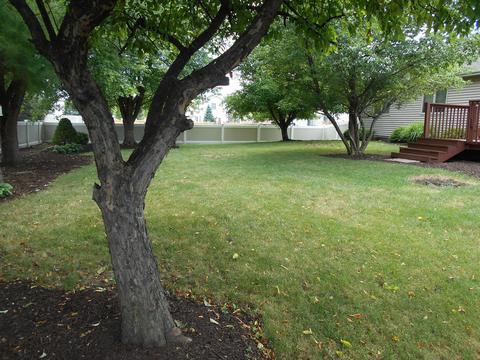 312 Chippewa Dr, Minooka, IL 60447 photo 7