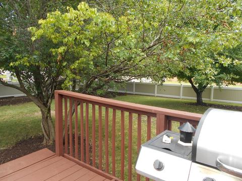 312 Chippewa Dr, Minooka, IL 60447 photo 3