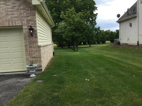 3220 Brookside Blvd, Olympia Fields, IL 60461 photo 6