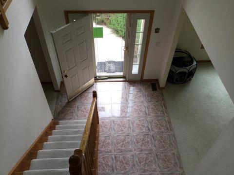 3220 Brookside Blvd, Olympia Fields, IL 60461 photo 8