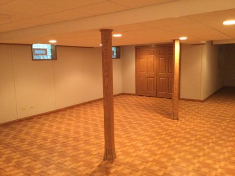 3220 Brookside Blvd, Olympia Fields, IL 60461 photo 23