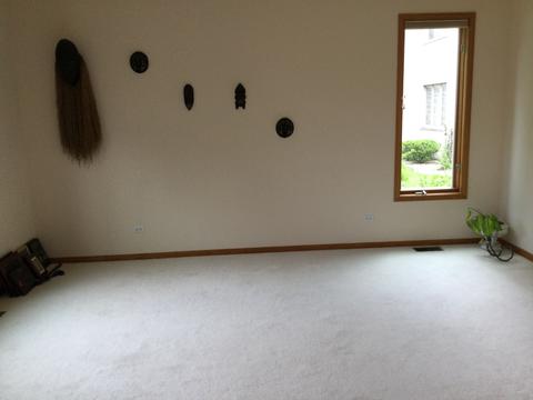 3220 Brookside Blvd, Olympia Fields, IL 60461 photo 14