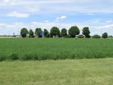 00 Gardner St, Sublette, IL 61367 photo 6