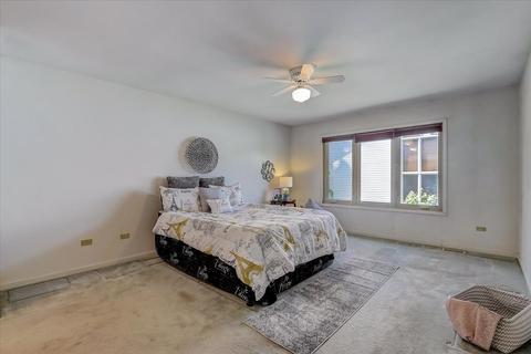 16626 Spangler Rd, Plainfield, IL 60586 photo 24