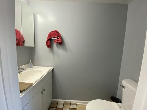 1738 Sessions Walk, Hoffman Estates, IL 60169 photo 15