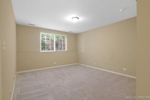454 Conservatory Ln, Aurora, IL 60502 photo 21