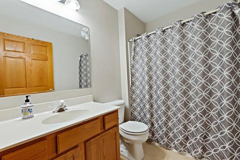 137 Ash Dr, Bolingbrook, IL 60490 photo 20