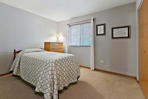137 Ash Dr, Bolingbrook, IL 60490 photo 17