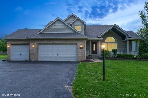 8909 Hidden Trl, Spring Grove, IL 60081 photo 19