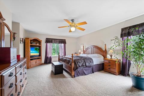 3409 Bailey St, Plano, IL 60545 photo 17