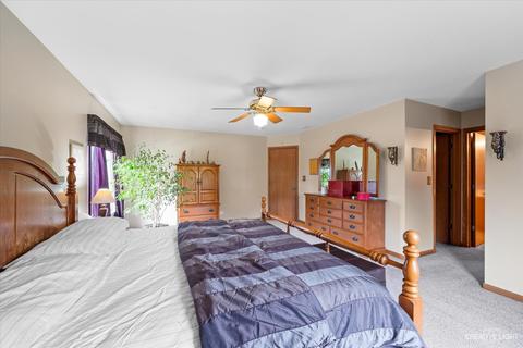 3409 Bailey St, Plano, IL 60545 photo 18