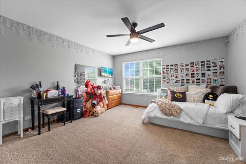 3409 Bailey St, Plano, IL 60545 photo 22