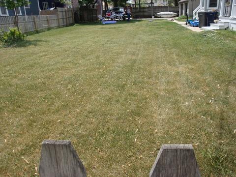 338 Saint Charles St, Elgin, IL 60120 photo 2