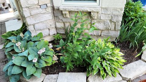107 Birch Ln, Oakwood Hills, IL 60013 photo 70