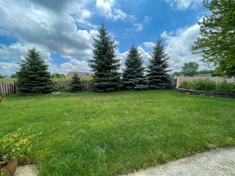 22065 W Pasadena Dr W, Plainfield, IL 60544 photo 3