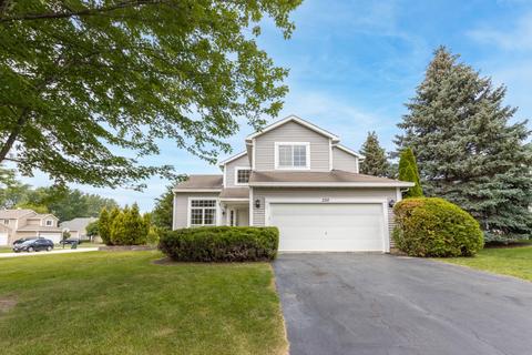 336 Tallgrass Dr, Bartlett, IL 60103 photo 3