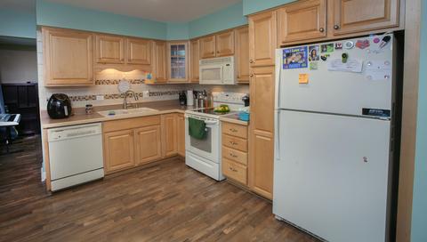 1229 Forest Dr, Elgin, IL 60123 photo 14