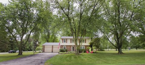 1229 Forest Dr, Elgin, IL 60123 photo 3