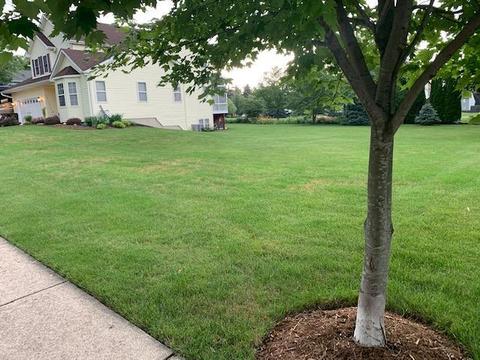 3706 Brighton Pl, Mchenry, IL 60050 photo 5