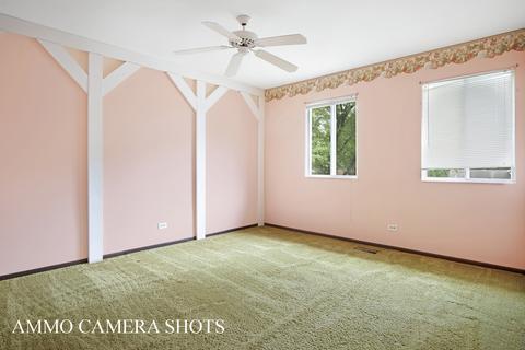 315 Windsor Dr, Roselle, IL 60172 photo 20