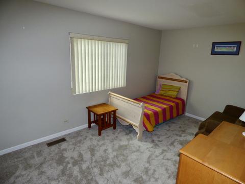 1217 Dunamon Dr, Bartlett, IL 60103 photo 10