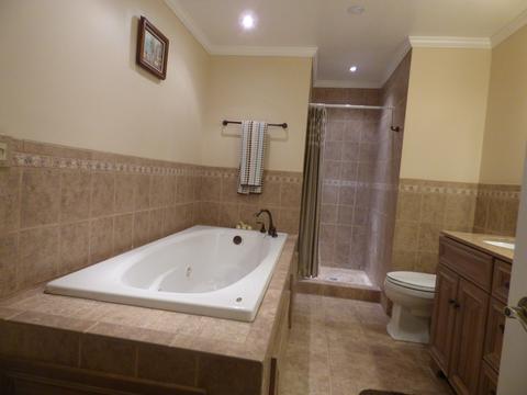 1217 Dunamon Dr, Bartlett, IL 60103 photo 12