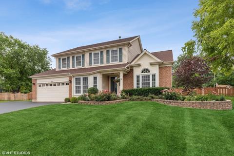 258 Stanton Ct E, Buffalo Grove, IL 60089 photo 1