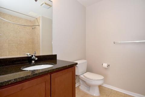 1 E 8th St #809, Chicago, IL 60605 photo 20