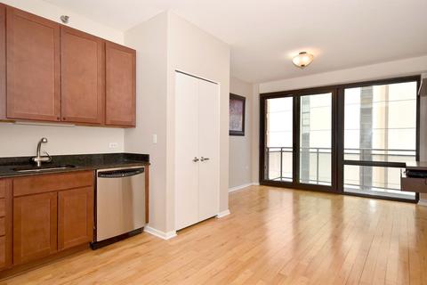 1 E 8th St #809, Chicago, IL 60605 photo 3