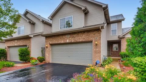 1303 Dancing Bear Ln, Elgin, IL 60120 photo 1