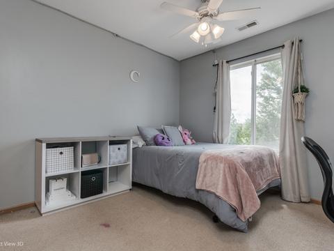 919 Daniel St, Plano, IL 60545 photo 17