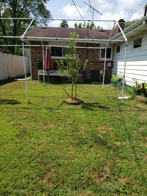 427 Marvin Pl, Wheeling, IL 60090 photo 16