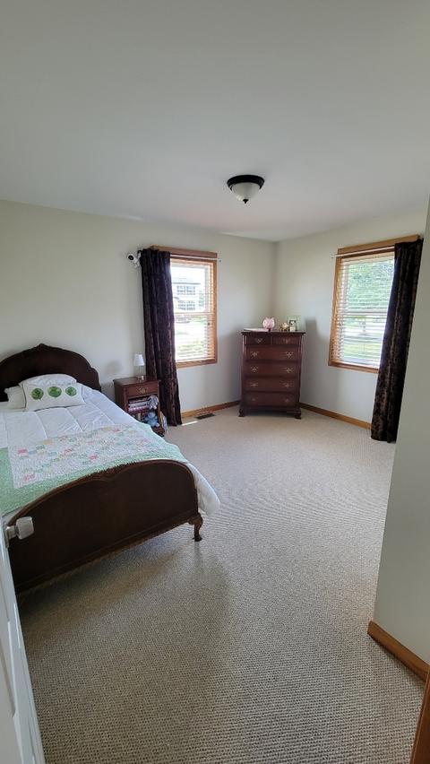 7005 Astoria Dr, Plainfield, IL 60586 photo 20