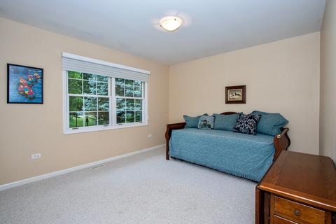 5253 W Jason Dr, Monee, IL 60449 photo 24