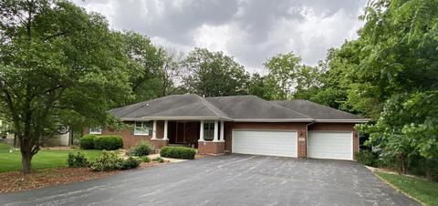 5253 W Jason Dr, Monee, IL 60449 photo 39