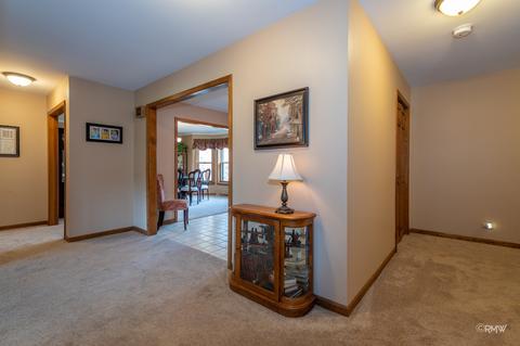 225 Wilcox Dr, Bartlett, IL 60103 photo 13