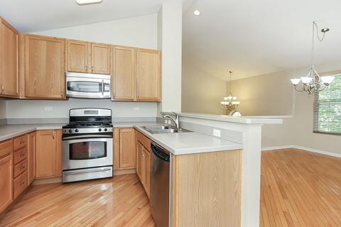 1003 Reserve Dr, Elgin, IL 60124 photo 9