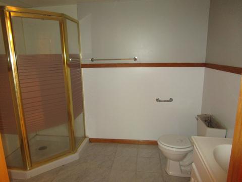 9675 E Cedarville Rd, Davis, IL 61019 photo 24