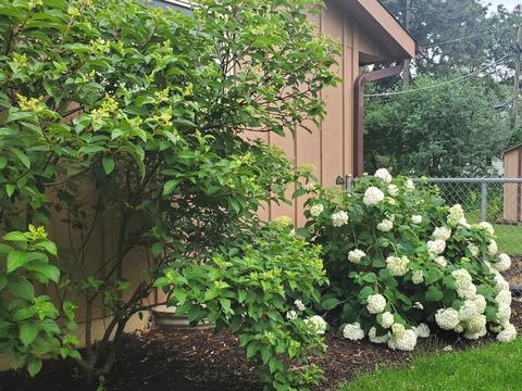 145 Bell Dr, Cary, IL 60013 photo 33