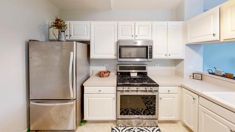 2313 Dawson Ln, Algonquin, IL 60102 photo 11