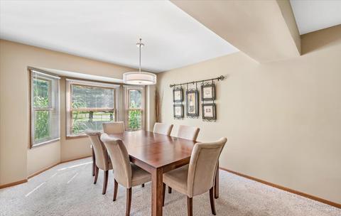 548 N Lyle Ave, Elgin, IL 60123 photo 9