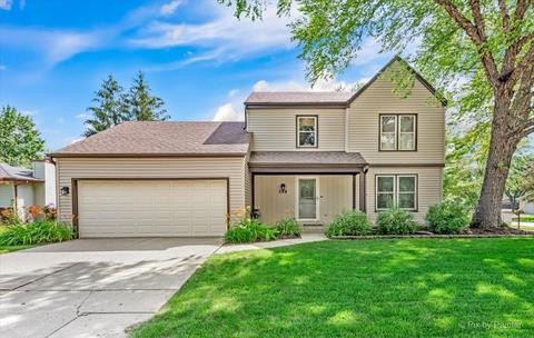 548 N Lyle Ave, Elgin, IL 60123 photo 1